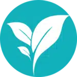 6.webp