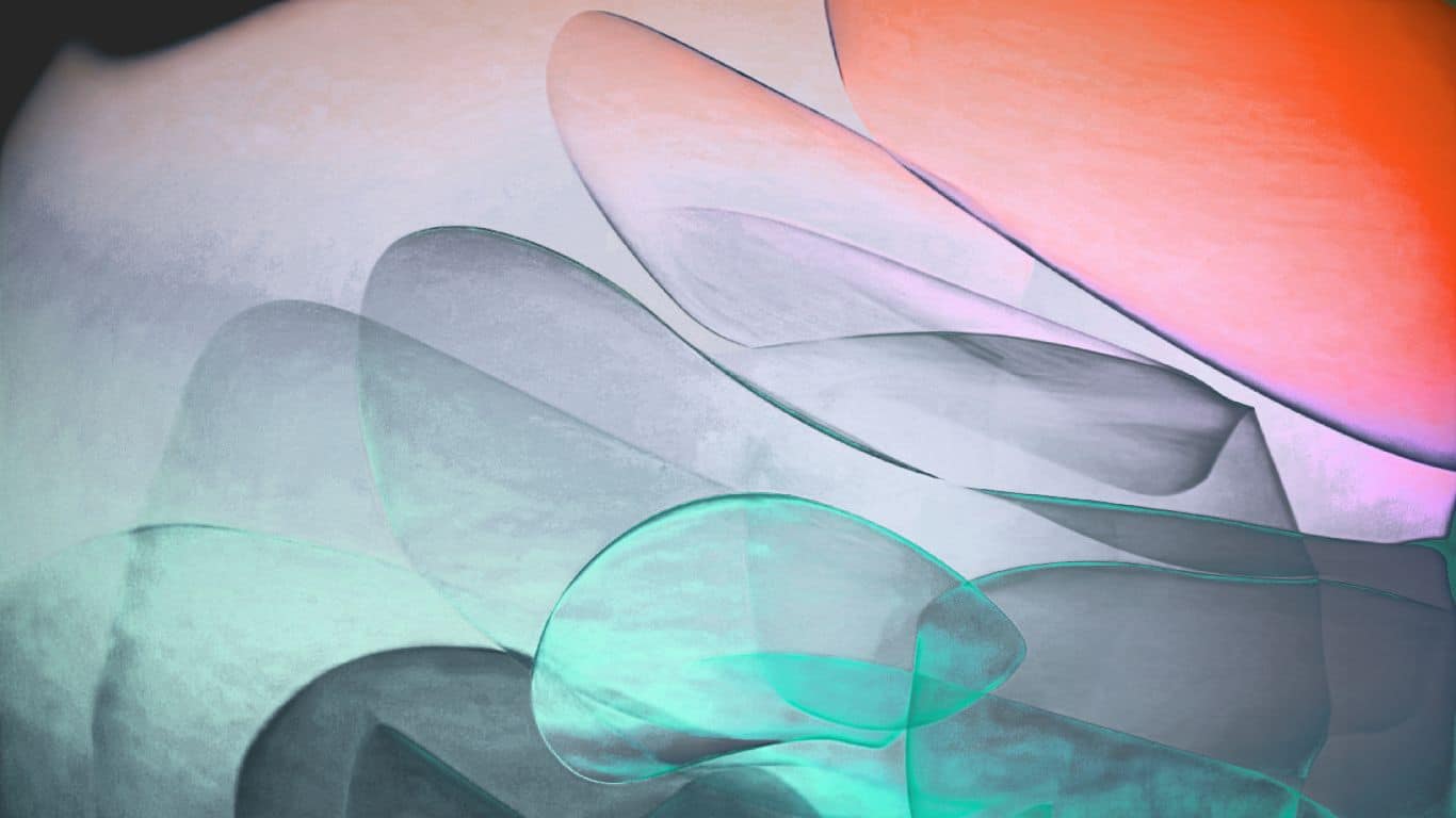 Late-Identified Neurodivergence: Relief and Grief